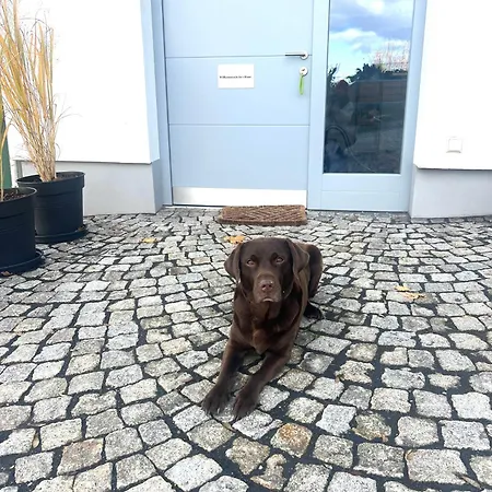 Lägenhet Joe's -modern,vintage *