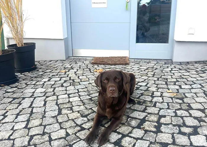 Apartman Joe's -modern,vintage *