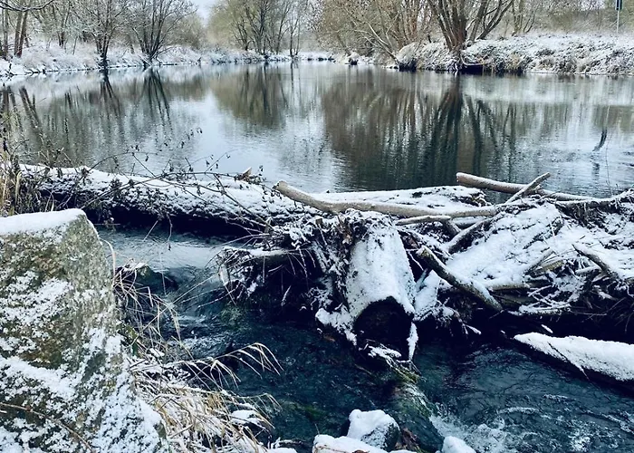 Joe's -modern,vintage *